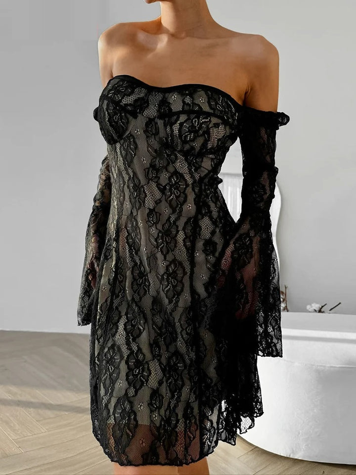 Darling Charisma Black Lace Sheer Mini Dress