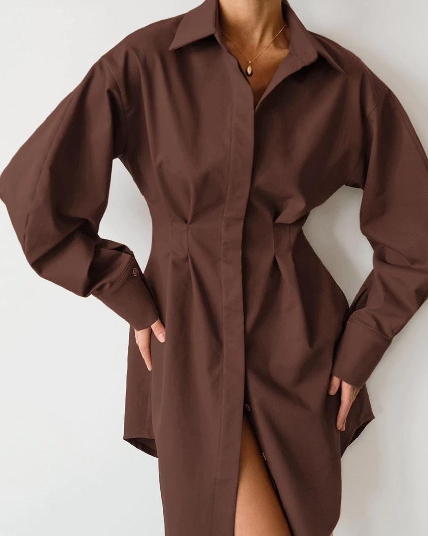 Coco Pleated Waist Shirt Dress