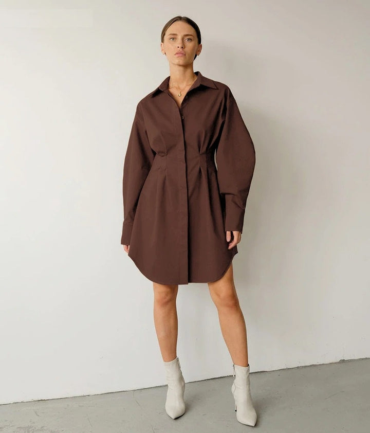 Coco Pleated Waist Shirt Dress